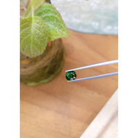 1.30 Ct. Tsavorite Garnet from Tanzania Life Style