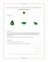 1.37 Ct. Tsavorite Garnet from Tanzania Appraisal