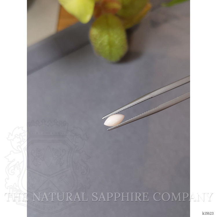 0.57 Ct. Cabochon Coral from Italy