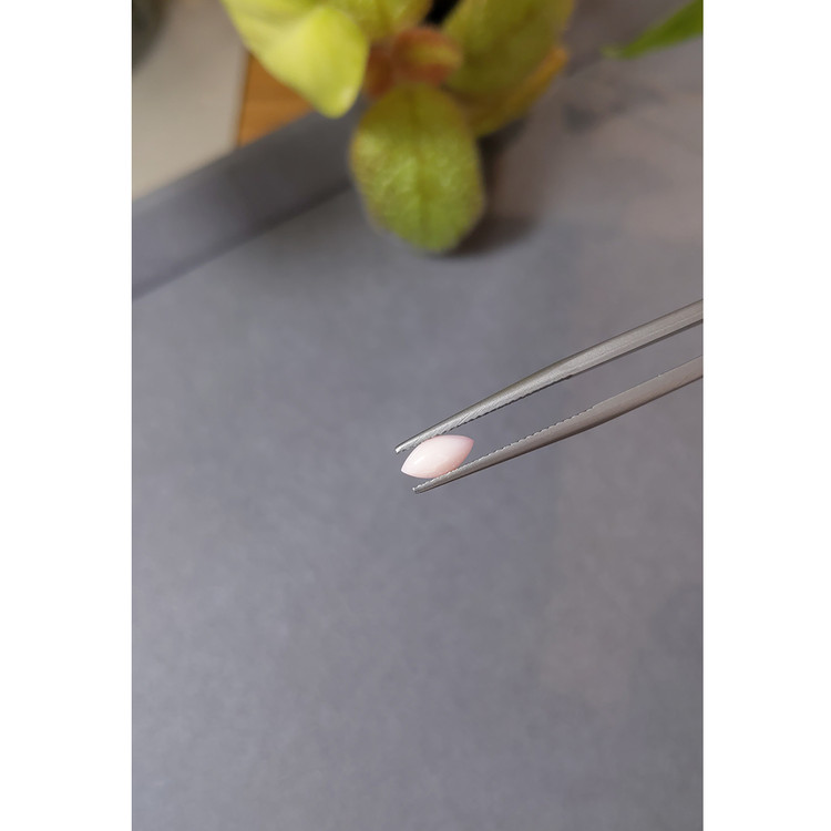 0.43 Ct. Cabochon Coral from Italy