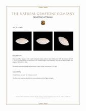 0.35 Ct. Cabochon Coral from Italy Appraisal