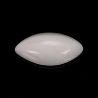 0.41 Ct. Cabochon Coral from Italy Video