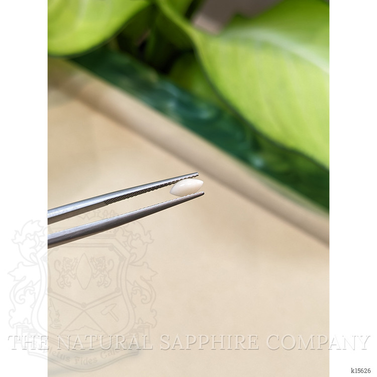 0.41 Ct. Cabochon Coral from Italy