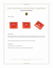 0.15 Ct. Cabochon Coral from Italy Appraisal