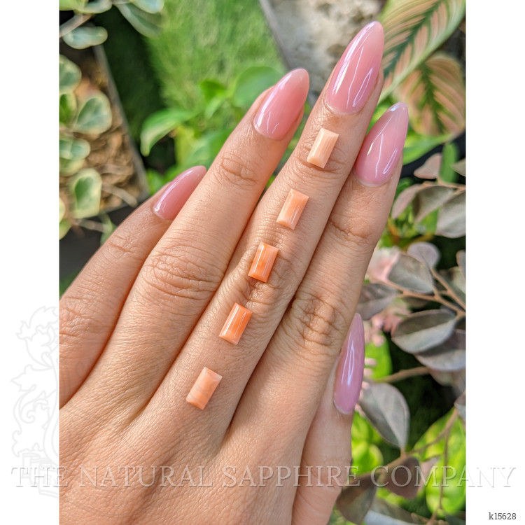 5.52 Ct. Cabochon Coral from Italy