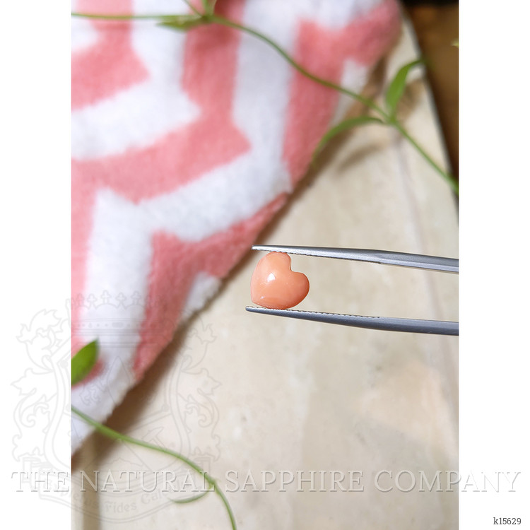 2.51 Ct. Cabochon Coral from Italy