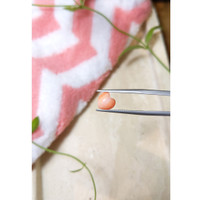 1.86 Ct. Cabochon Coral from Italy Life Style