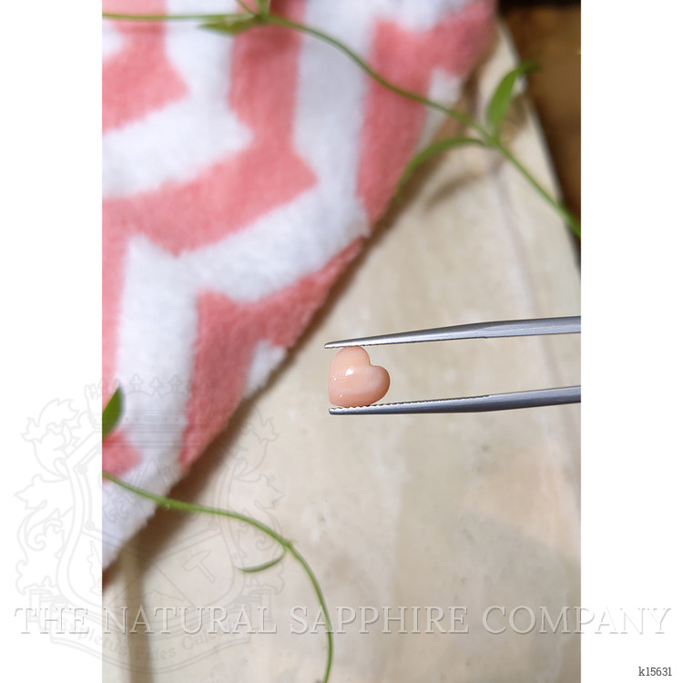 1.92 Ct. Cabochon Coral from Italy