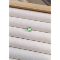 1.66 Ct. Tourmaline from Afghanistan Life Style