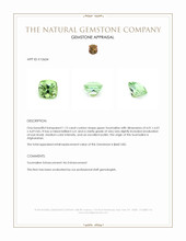 1.12 Ct. Green Tourmaline from Afghanistan Appraisal