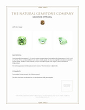 1.12 Ct. Tourmaline from Afghanistan Appraisal