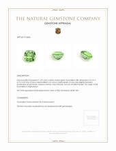 1.69 Ct. Green Tourmaline from Afghanistan Appraisal