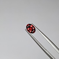 0.90 Ct. Garnet from Ceylon (Sri Lanka) Life Style