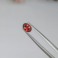 0.76 Ct. Garnet from Ceylon (Sri Lanka) Life Style
