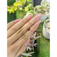 0.83 Ct. Garnet from Ceylon (Sri Lanka) Life Style