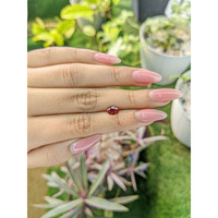 0.83 Ct. Garnet from Ceylon (Sri Lanka) Life Style