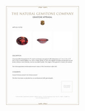 0.79 Ct. Red Garnet from Ceylon (Sri Lanka) Appraisal