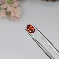 0.79 Ct. Garnet from Ceylon (Sri Lanka) Life Style
