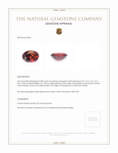 0.88 Ct. Garnet from Ceylon (Sri Lanka) Appraisal