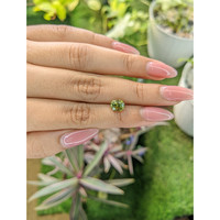 2.05 Ct. Chrysoberyl from Ceylon (Sri Lanka) Life Style