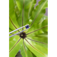 1.07 Ct. Spinel from Ceylon (Sri Lanka) Life Style