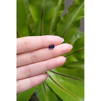 1.07 Ct. Spinel from Ceylon (Sri Lanka) Life Style