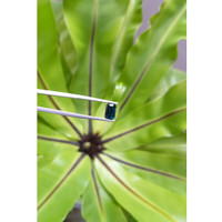 1.71 Ct. Spinel from Ceylon (Sri Lanka) Life Style