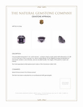 1.81 Ct. Spinel from Ceylon (Sri Lanka) Appraisal