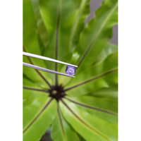 1.81 Ct. Spinel from Ceylon (Sri Lanka) Life Style