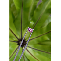 1.31 Ct. Spinel from Ceylon (Sri Lanka) Life Style