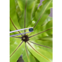 1.32 Ct. Spinel from Ceylon (Sri Lanka) Life Style