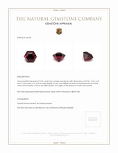 2.93 Ct. Garnet from Ceylon (Sri Lanka) Appraisal