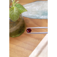 2.93 Ct. Garnet from Ceylon (Sri Lanka) Life Style