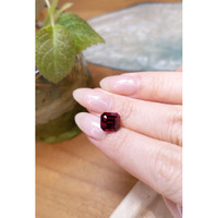 3.80 Ct. Garnet from Ceylon (Sri Lanka) Life Style