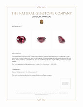 3.25 Ct. Pink Garnet from Ceylon (Sri Lanka) Appraisal