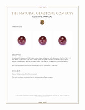 3.00 Ct. Red Cabochon Garnet from Ceylon (Sri Lanka) Appraisal