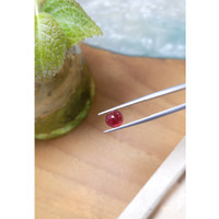 3.00 Ct. Cabochon Garnet from Ceylon (Sri Lanka) Life Style