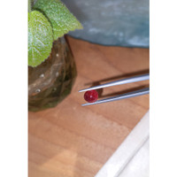 3.00 Ct. Cabochon Garnet from Ceylon (Sri Lanka) Life Style