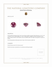 0.89 Ct. Purplish Red Garnet from Ceylon (Sri Lanka) Appraisal