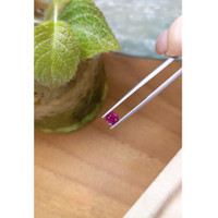 0.89 Ct. Garnet from Ceylon (Sri Lanka) Life Style