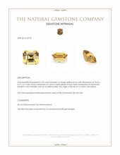 6.78 Ct. Yellow Zircon from Ceylon (Sri Lanka) Appraisal