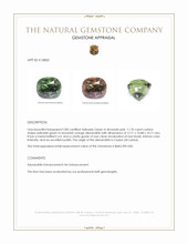 11.70 Ct. Alexandrite from Ceylon (Sri Lanka) Appraisal