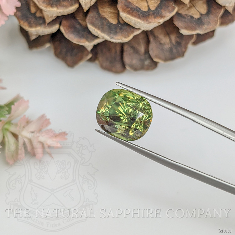 11.70 Ct. Alexandrite from Ceylon (Sri Lanka)