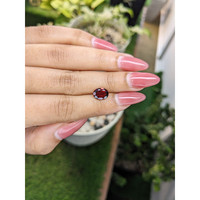 2.04 Ct. Garnet from Ceylon (Sri Lanka) Life Style