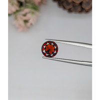 2.00 Ct. Garnet from Ceylon (Sri Lanka) Life Style