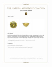 1.37 Ct. Yellow Zircon from Ceylon (Sri Lanka) Appraisal