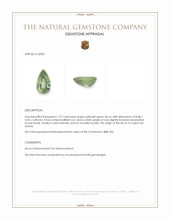 1.27 Ct. Yellowish Green Zircon from Ceylon (Sri Lanka) Appraisal