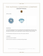 3.00 Ct. Blue Topaz from Ceylon (Sri Lanka) Appraisal