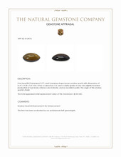 5.97 Ct. Cabochon Smokey Quartz from Brazil Appraisal