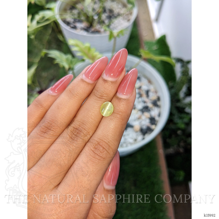 2.08 Ct. Cabochon Chrysoberyl from Ceylon (Sri Lanka)